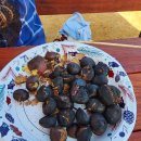 가자농장 이미지