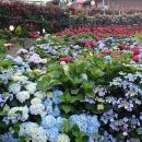 북촌 해동 이미지