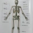 서울장신대학교 자연치유선교대학원 이미지