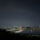 하늘공원라이브 | 🌾 2025 하늘공원 억새축제 미리 다녀온 후기 & 꿀팁 (주차, 맹꽁이열차, 핑크뮬리 현황)
