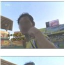 펄스트