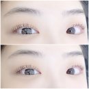 마벨디 이미지