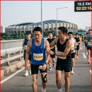 엑스코리아 유한회사 이미지