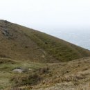 힐링올레 이미지