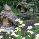 머루다래 민박 이미지