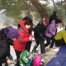 이정일산부인과 Daum카페