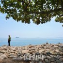 해돌마루민박 이미지