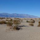 미국 데스밸리 국립공원 메스키테 플랫 샌드 듄스 (Mesquite Flat Sand Dunes) 이미지