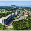 벵가스테이 이미지