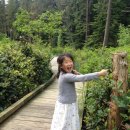 서윤의숲길 이미지