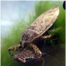 제주 물장오리오름 이미지