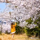 남원읍-126 이미지