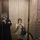앰배서더 서울] 시그니처 스위트룸 호캉스 내돈내산 후기(룸소개/어메니티/골드라운지/애프터눈티)