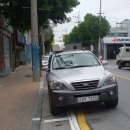 유한회사 야생초 이미지