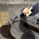(주)여덟끼니