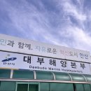 대부도해양본부 | 아이들과 가을꽃 산책🌸 대부도 대부해양관광본부 백일홍 꽃밭 후기