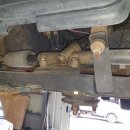 서울어린이대공원동물병원 이미지