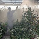 정국농장 이미지