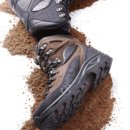 참조은세상 이미지