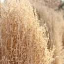 서울척척정형외과의원 이미지