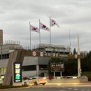 하귤소담 | 여행 애월에서 2박3일 1일차 (김포공항, 하리보해피월드, 피커스카페, 마미포유, 하귤소담, 제주돈아)