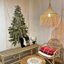 스테이 오후열시 이미지