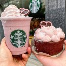 스타벅스 하단중앙점 이미지