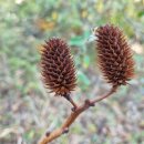 라이팅코리아 이미지