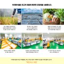 아리랑떡집 이미지
