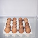 ‘달걀’ 냉장 유통·보관때 며칠간 신선도 유지되나…농진청 답변은 이미지