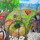 강원도디엠제트박물관 이미지