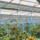 생규농장 이미지