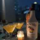 옥상파티 이미지