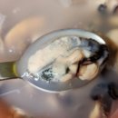 이도수산 | 농라. 이도수산 오만둥이👍👍