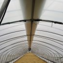 하은이네 농장 이미지