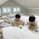 만리포들꽃펜션 | 만리포들꽃펜션 : 태안가족여행, 태안숙소, 독채펜션