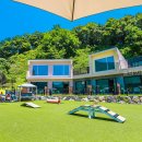 플레이독애견풀빌라 | 플레이독애견풀빌라 애견 동반 조건 체크리스트