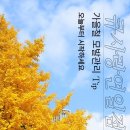 세븐일레븐포항연일점 | [공지] 큐사랑연일점 천연염색으로 단골이 되기까지 – 모발 영양케어·손상모 회복·안전 염색