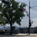 천천작은도서관 이미지