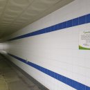 황새울1길 이미지