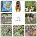 마곡3 연두어린이집 이미지