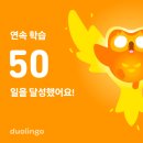 성조슈퍼 | [듀오링고] 중국어 레벨 18 연속학습 50일차 사용후기+헬로차이니즈 비교