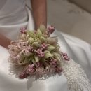 HAUS | [w9 아이폰 스냅] (짝꿍 마감) 벨켓팅 실패였는데요 성공했습니다 | 벨레하우스 Belle Haus 계약 후기