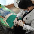 비케이소아치과치과의원 이미지