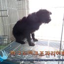용민로 이미지