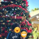 형제지프 | [하와이 빅아일랜드 숙소] 아이와 함께라면 무조건 여기! 킹스랜드 &amp; 힐튼 와이콜로아 빌리지 완벽 후기