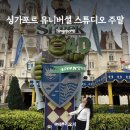 싱가포르 유니버셜 스튜디오 예약ㅣ주말 익스프레스권 없이 가본 웨이팅 후기