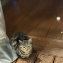 하이비치 펜션 이미지