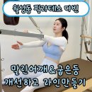 [ 월성동 필라테스 다빈 ] 말린어깨&amp;굽은등 개선하고 라인만들기
