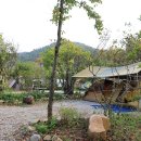 버드하우스 이미지